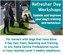 Refresher Day Workshops Refresher Day Workshops
